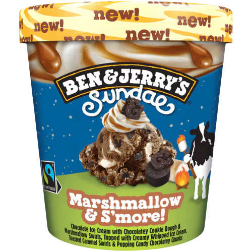 Ben & Jerry's Marshmallow Smores